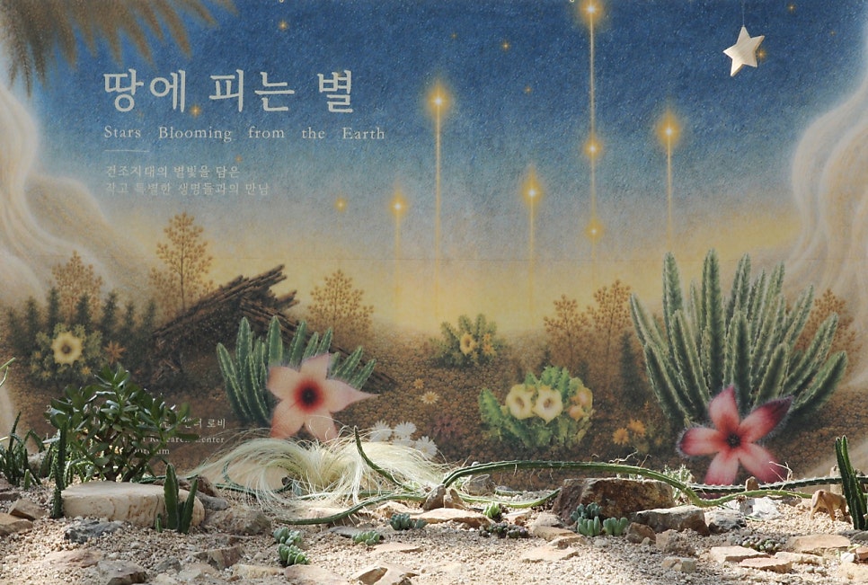별밤을 표현한 짙은 배경 벽 앞에 다육식물을 배치한 전시장, 벽면에 분홍 별 모양 꽃 그래픽이 인쇄돼 있다