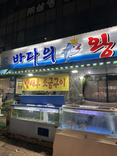 바다의왕 사진 3