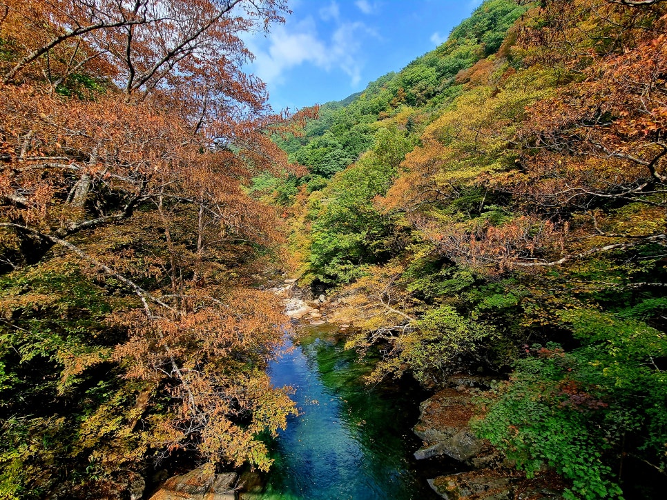 Biseondam in autumn light, water running over a wide rock shelf with coloured woods on either side.