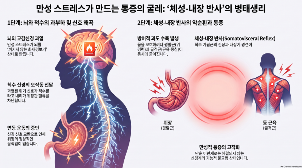 병리 인포그래픽