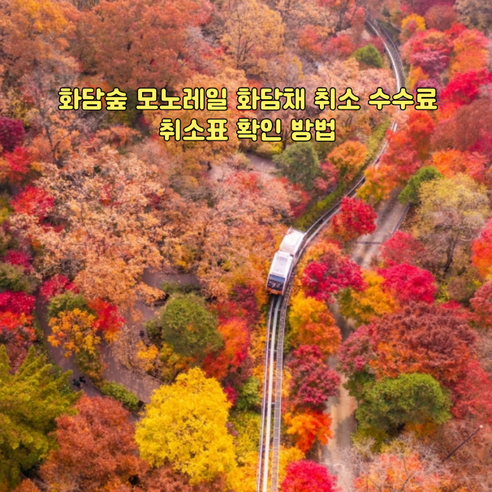 화담숲 모노레일 화담채 취소 수수료 취소표 확인 방법 단풍
