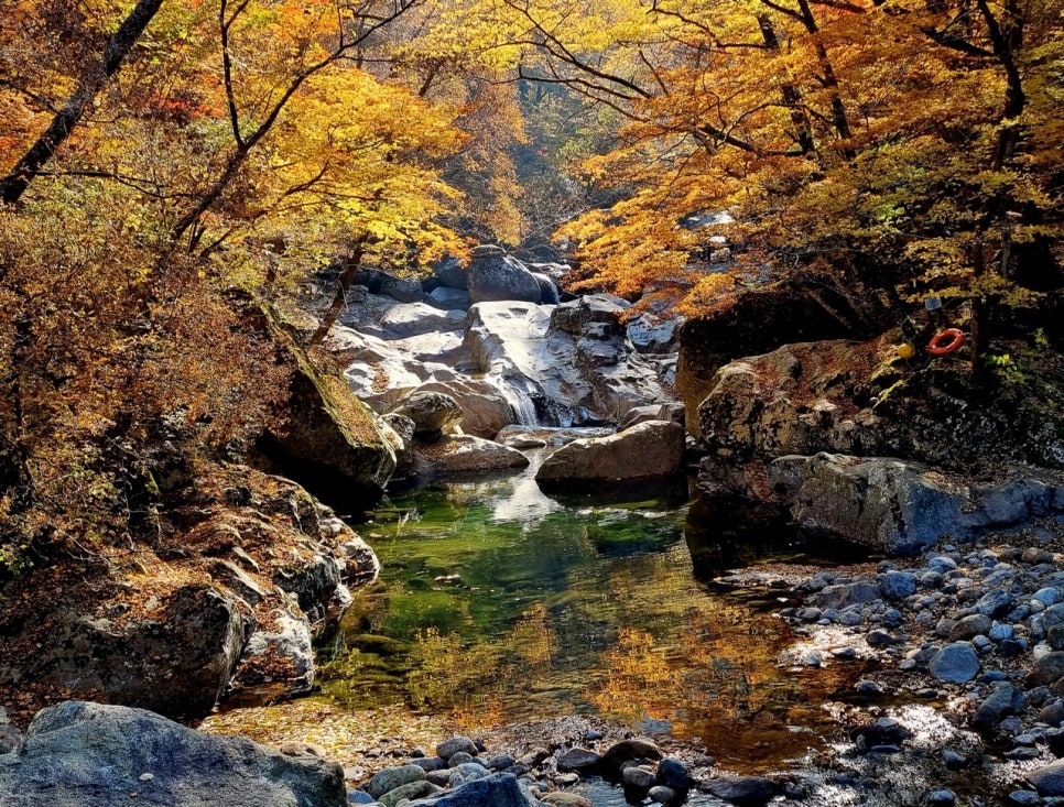 Seonyeotang surrounded by trees in autumn colour, water running down the rock into a clear pool.