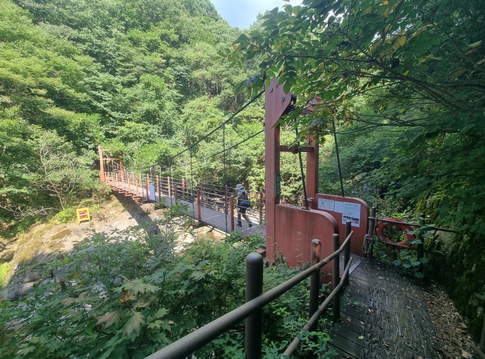 The Chilseongyo suspension bridge over the valley, a timber deck floor and steel railings, deep green woods around it.