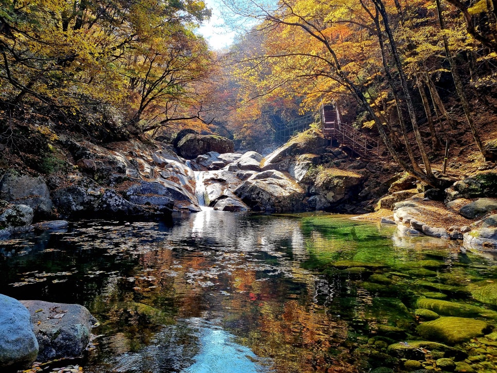 Red and yellow autumn leaves reflected in the water of Ongnyeotang, pooled between large boulders.