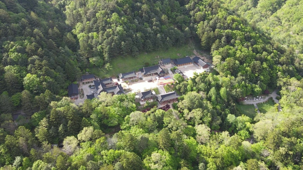 The halls of Sangwonsa at Odaesan against fresh green spring woods.