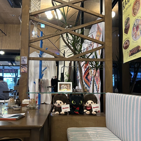 가모메 사진 3