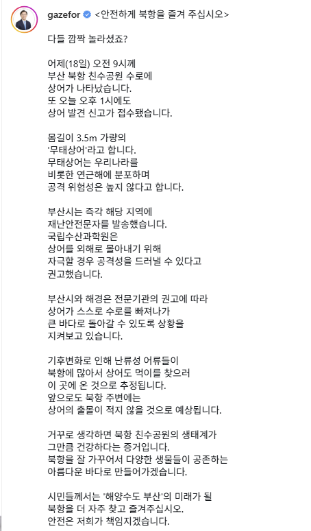 조심하라고 문자 보냈더니 더 몰렸다 상어 출몰로 핫플된 부산 북항 뜻밖의 수혜자들 근황 하나로 분위기 이미지 5