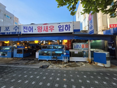 대포수산물회센타 사진 8