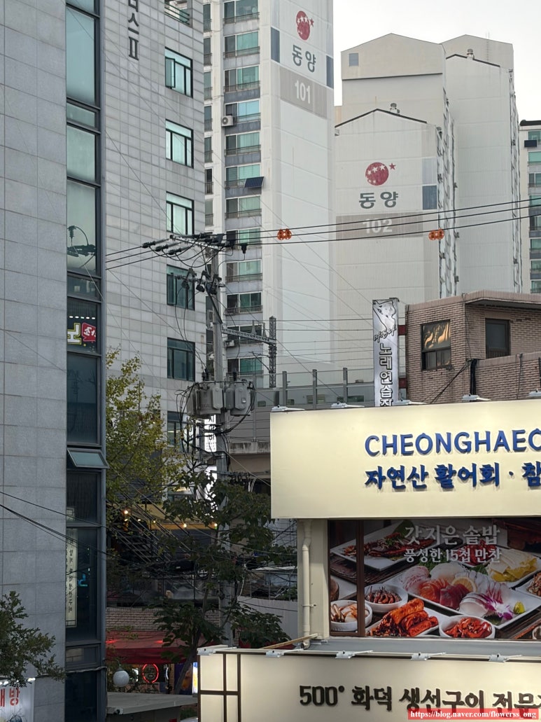 도리연닭도리탕 노원점 사진 6