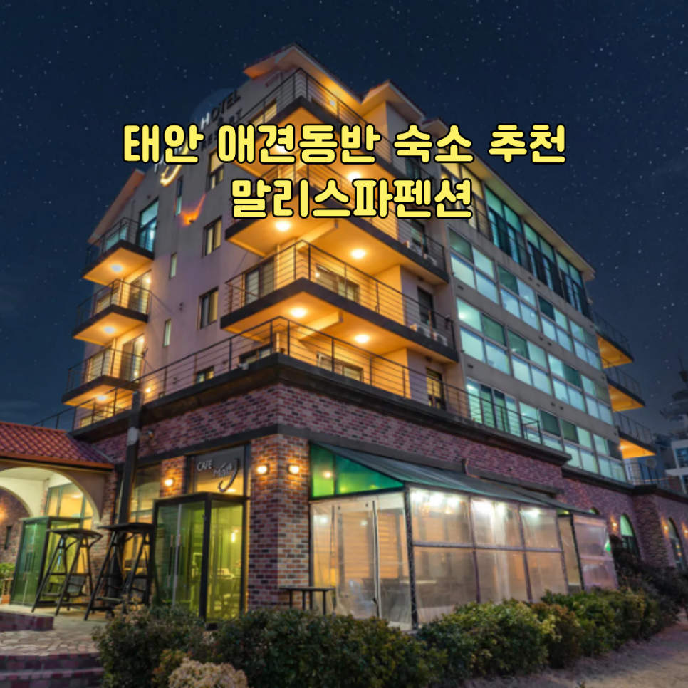 태안 애견동반 숙소 말리스파펜션 외관 야경, 만리포해수욕장 앞 오션뷰 펜션