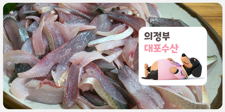 대포수산물회센타 사진 5