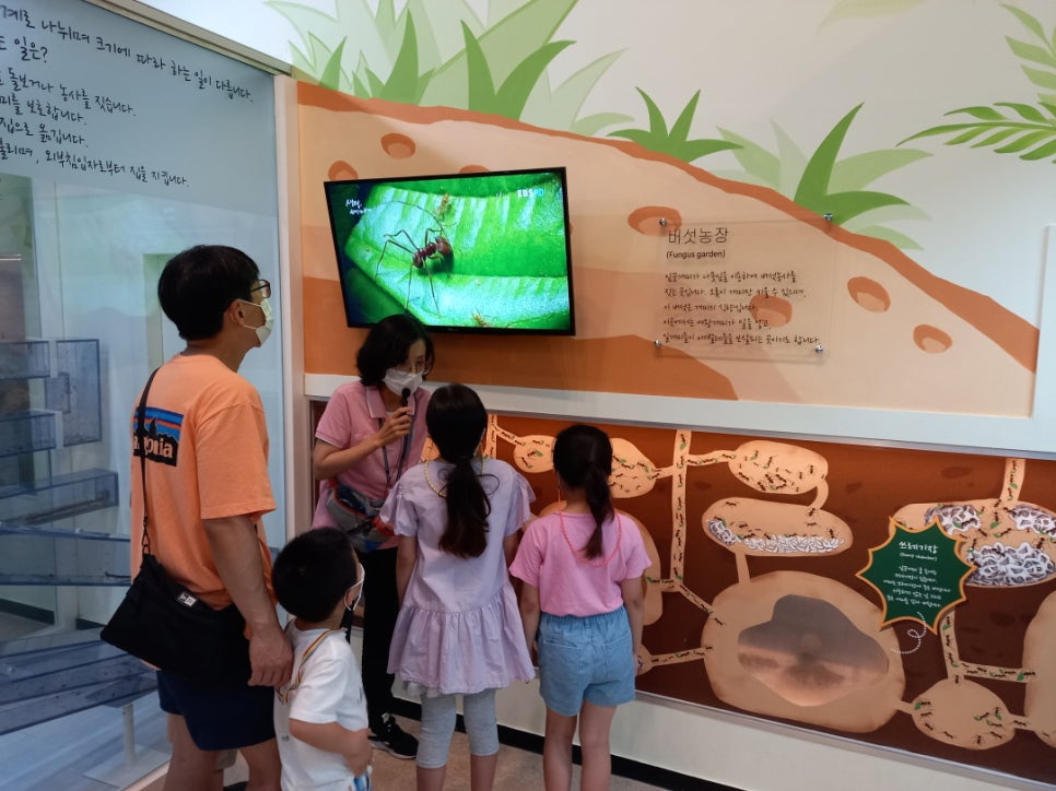 해설사가 관람객 여러 명 앞에서 개미 전시물을 가리키며 설명하고 있다.