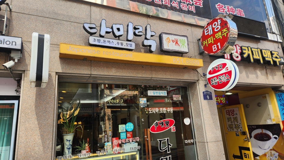 다미락 사진 5