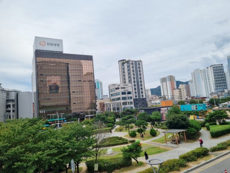 낮달초밥사시미 사진 7