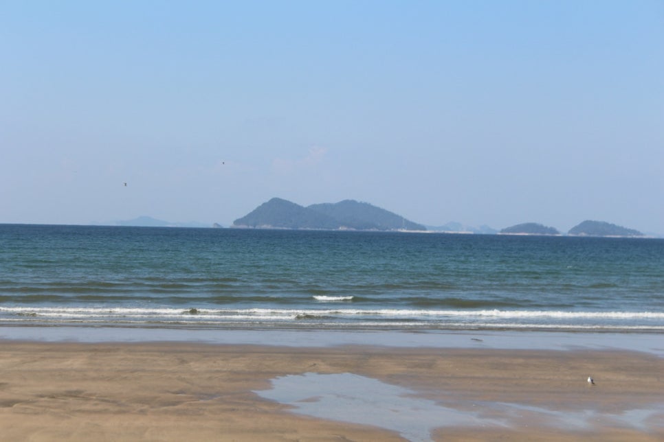 변산반도 고사포 해변. 넓은 모래밭 뒤로 솔숲이 길게 이어지고 바다가 잔잔하다