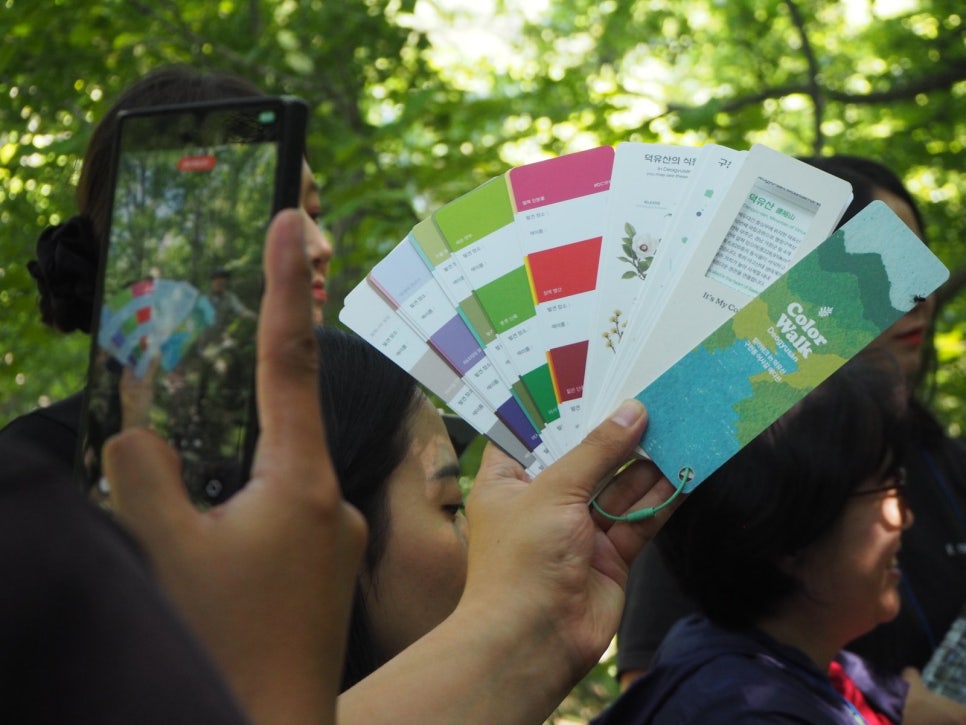Programme participants on the Gucheondong Eosa-gil trail holding colour cards up against the forest