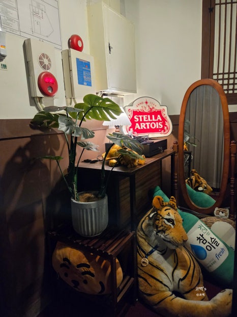 호랑 사진 5