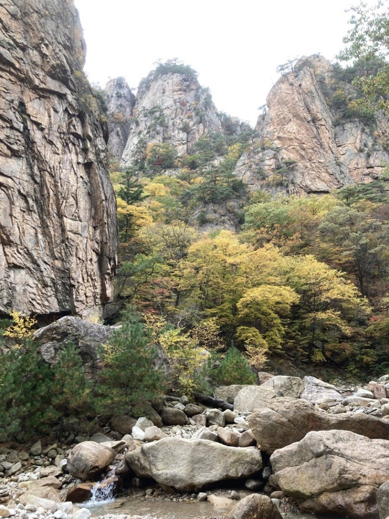Autumn at Osaek Jujeongol in Seoraksan: red and yellow leaves around grey rock walls