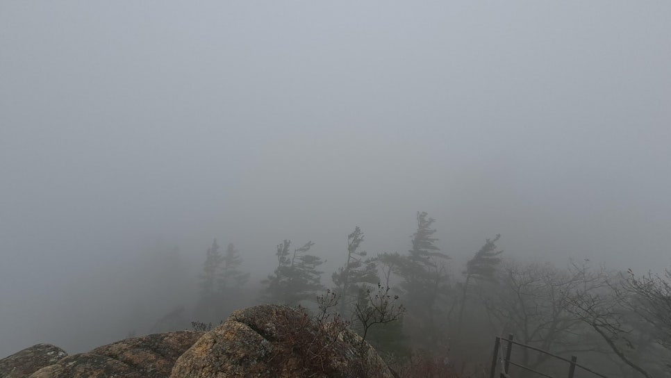 짙은 안개가 능선과 나무를 덮어 윤곽만 희미하게 보이는 산속 풍경
