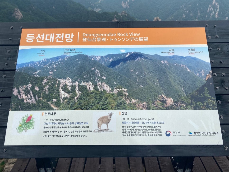 등선대 전망 지점에 세워진 안내판. 주변 봉우리 이름과 눈잣나무·산양 해설이 그려져 있다