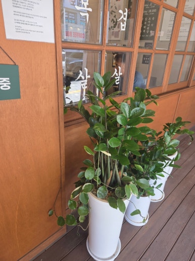 목구멍 안산본오점 사진 6