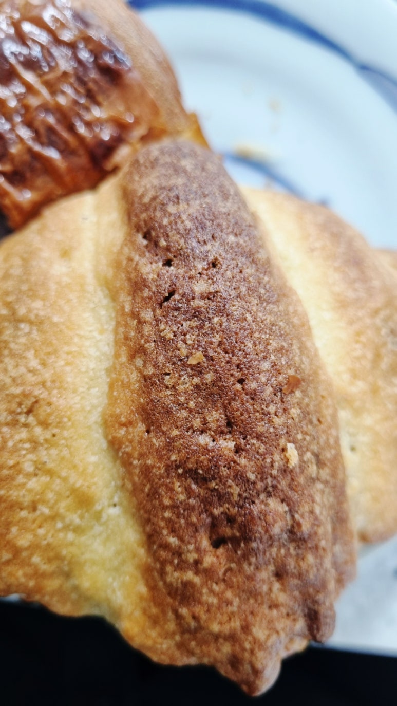 크럼브 사진 6