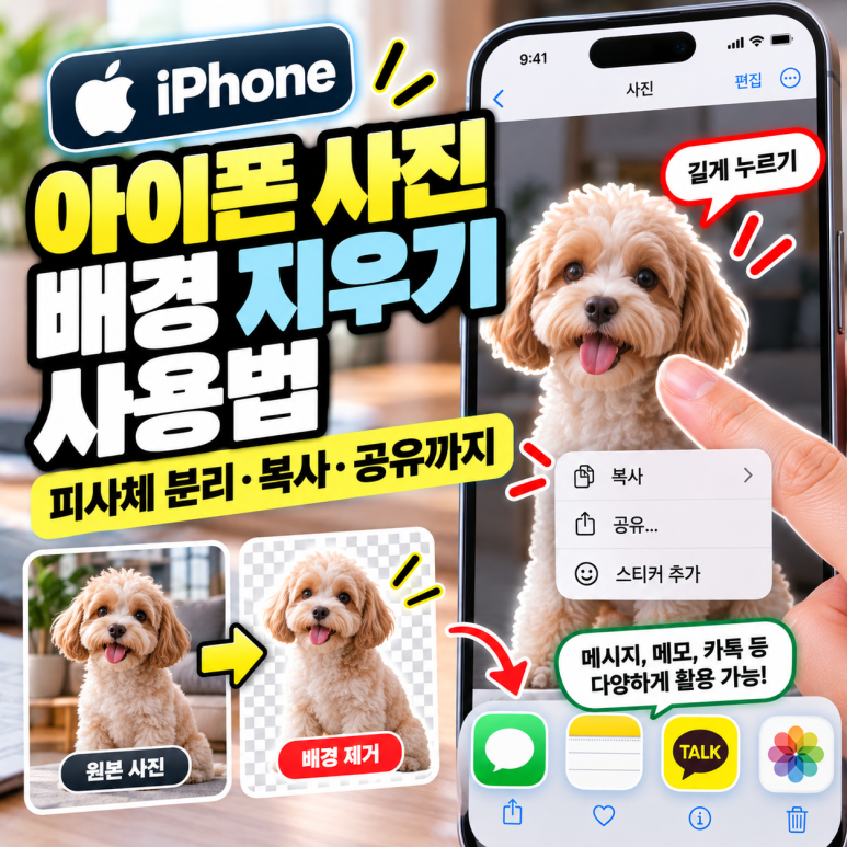 아이폰 사진 배경 지우기 사용법|피사체 분리·복사·공유 방법 관련 이미지