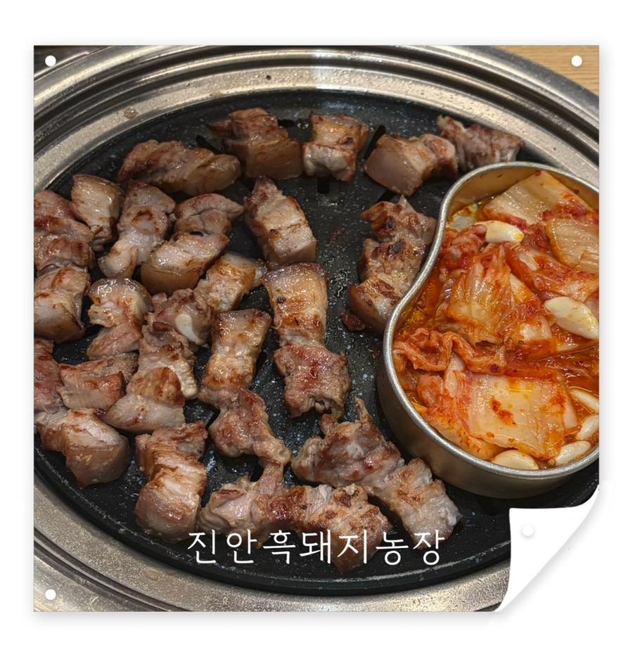 진안흑돼지농장 사진 2