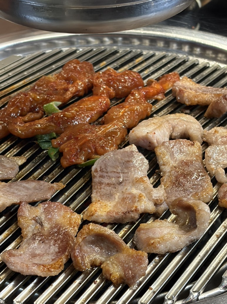 백돈 사진 4