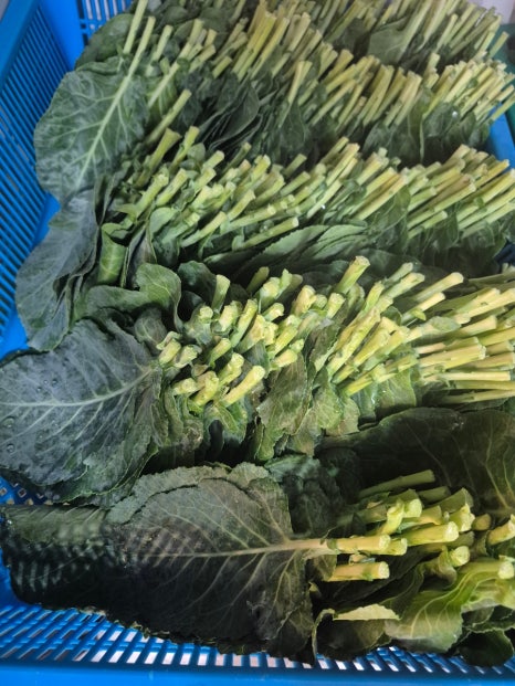 지리산우렁쌈밥 사진 4