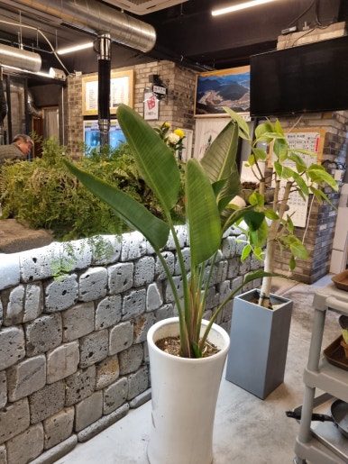 단양돈가 이미지