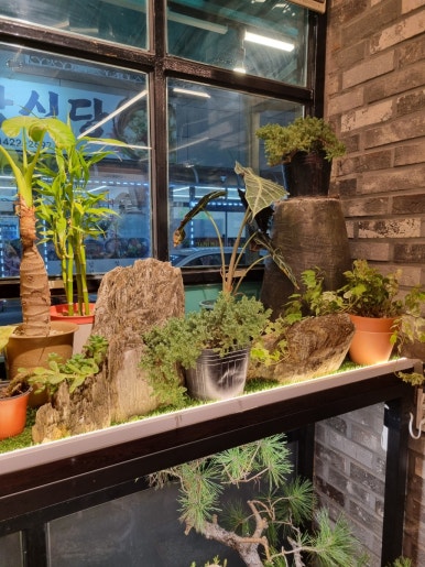 단양돈가 이미지