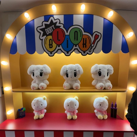 다이버시티 사진 4