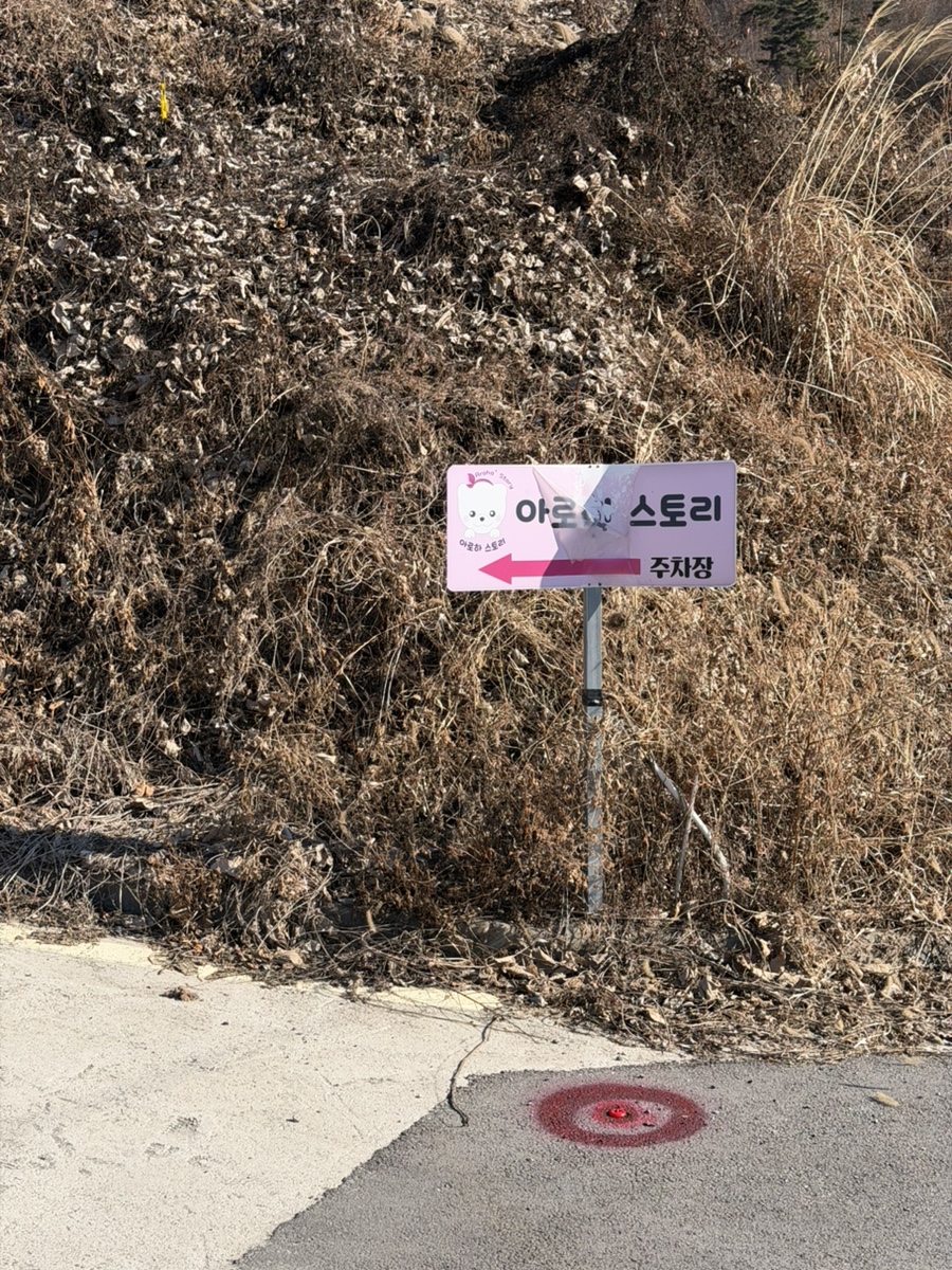 용인 대형 애견카페 아로하스토리, 강아지 놀이터 입장료 후기 — 사진 2
