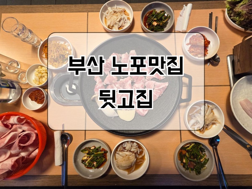 뒷고집 사진 2
