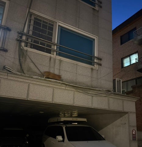 쭈먹 사진 6
