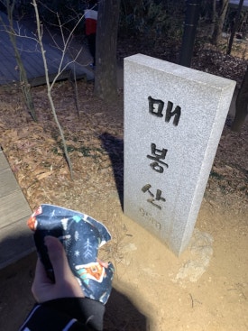 시리얼고메2.0 수지 사진 8