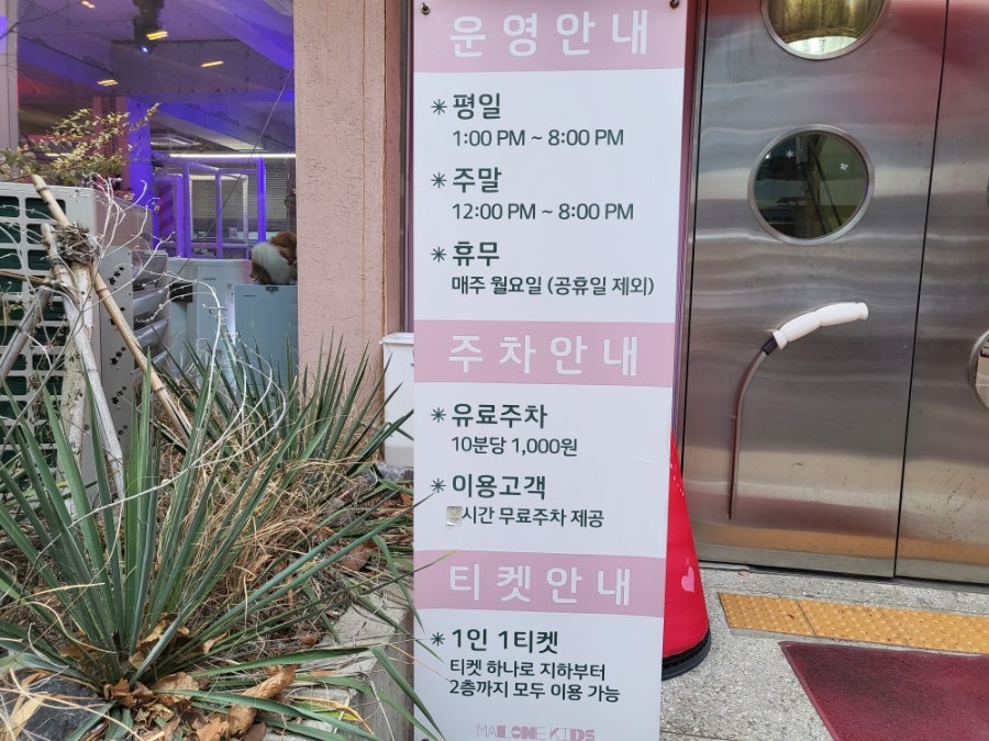 영등포 말론하우스, 고양이와 함께하는 이색 키즈카페 — 사진 3