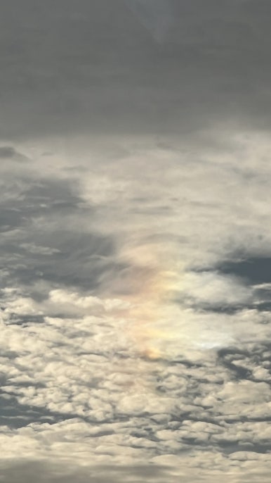 명성막국수 석갈비떡갈비 이미지