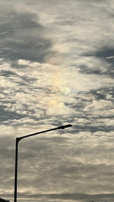 명성막국수 석갈비떡갈비 이미지