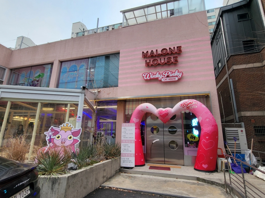 영등포 말론하우스, 고양이와 함께하는 이색 키즈카페 — 사진 2