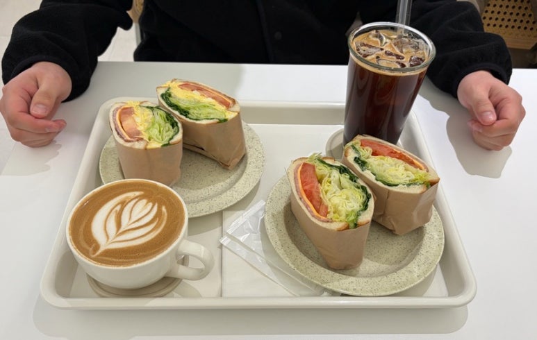 오아시스 이미지