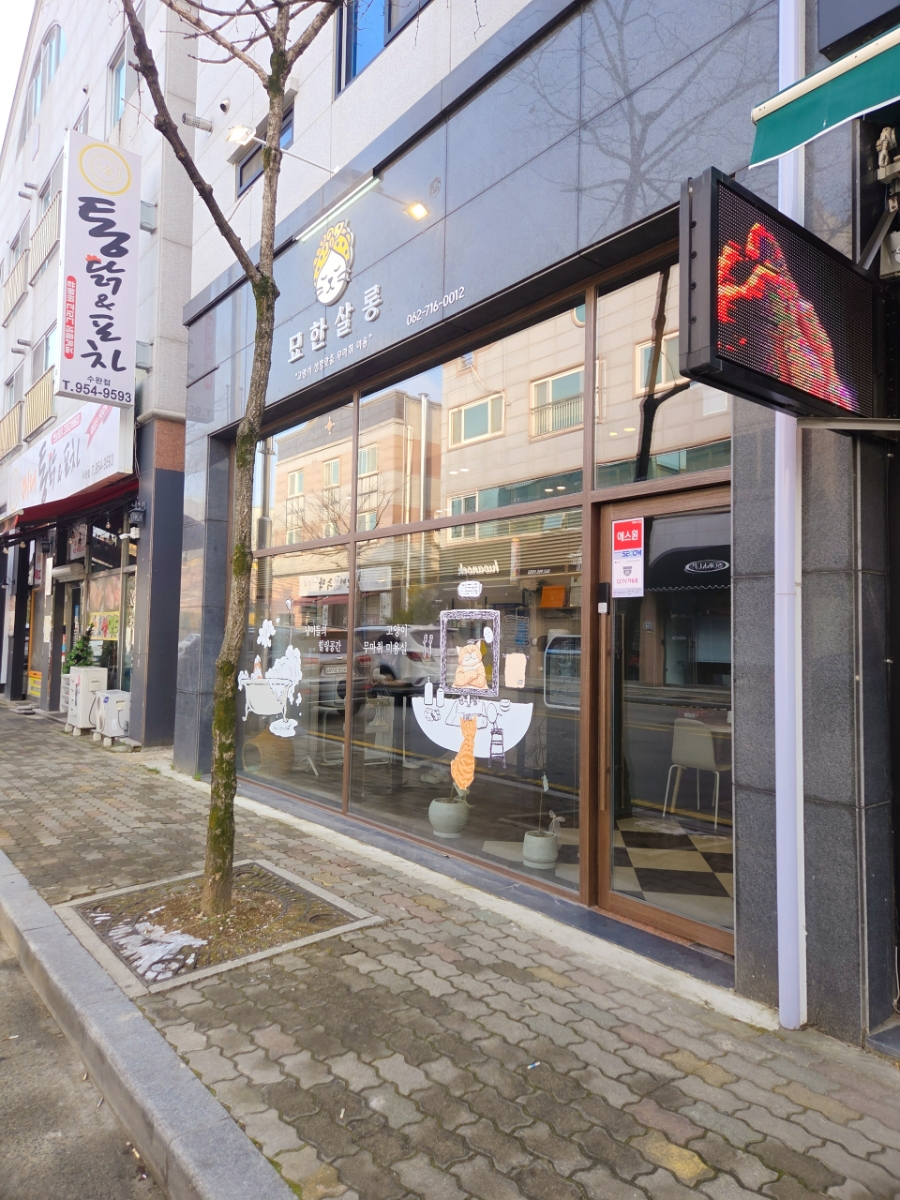 광주 고양이 미용, 묘한살롱에서 편안하게!