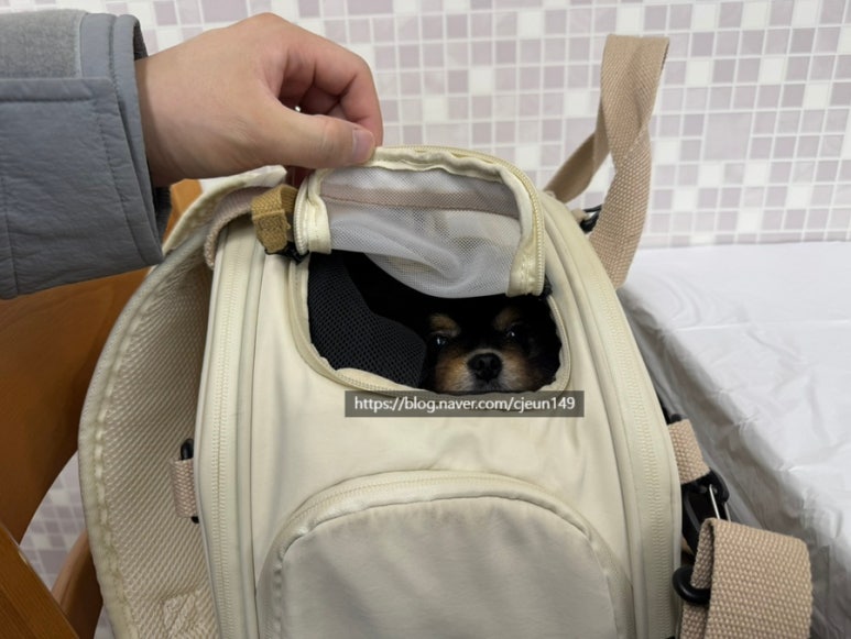 영남식당 이미지