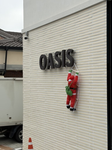 오아시스 이미지