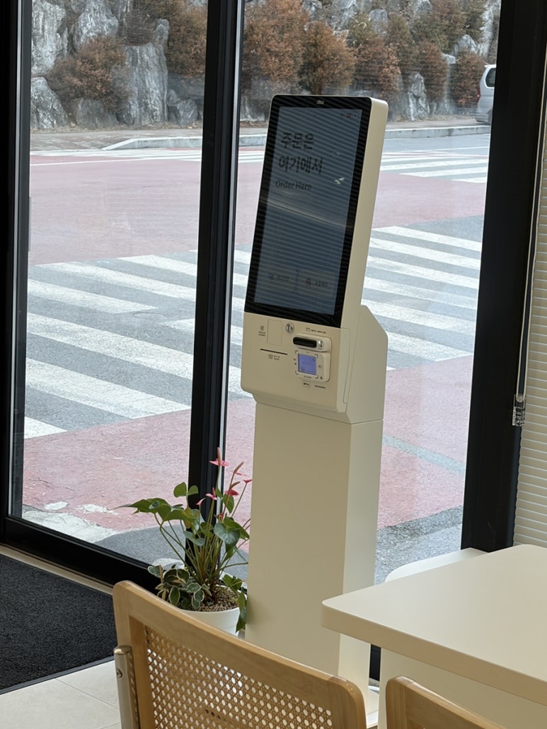 오아시스 이미지