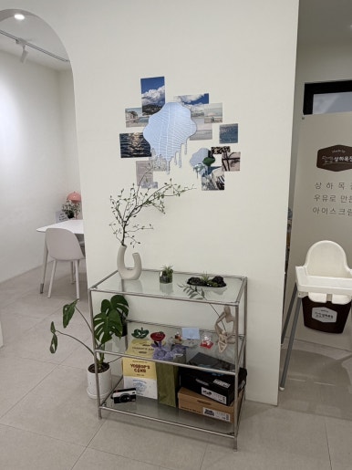 오아시스 이미지