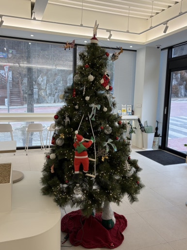 오아시스 이미지