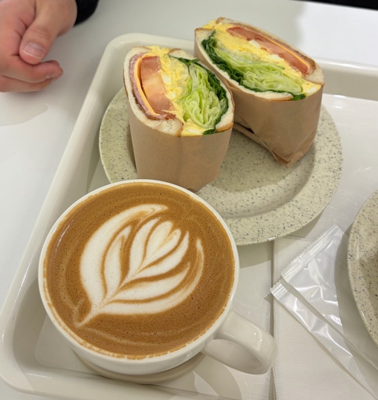 오아시스 이미지