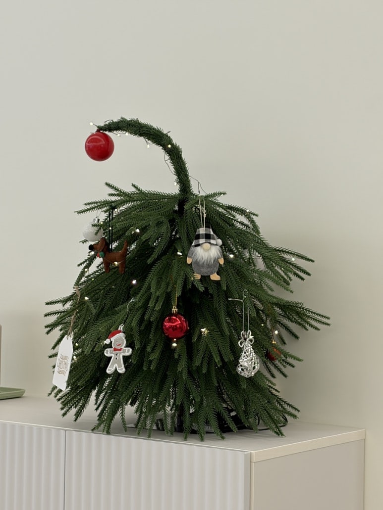 오아시스 이미지